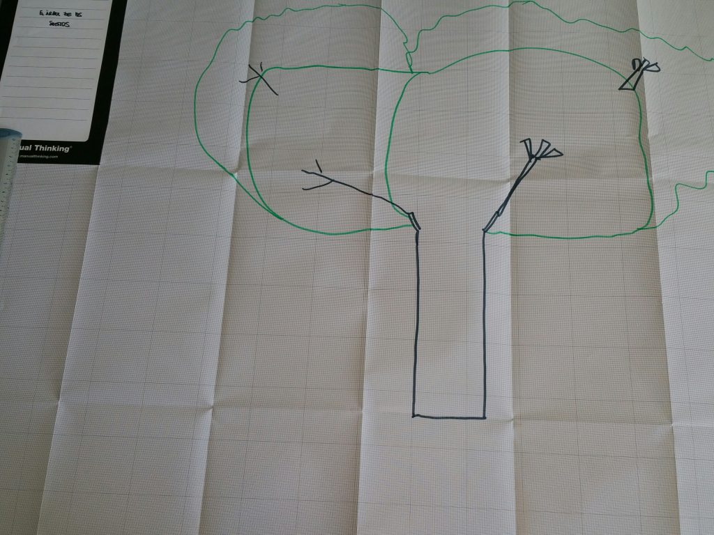 20160417_180046_resized_1